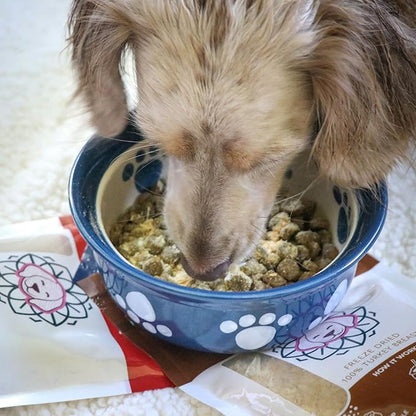 HOLI Rabbit Dog Food Topper – Freeze Dried Rabbit Dog Topper for Dry Food – Single Ingredient, Human-Grade Meal Topper for Picky Dogs – Grain Free & All Natural - 4oz
