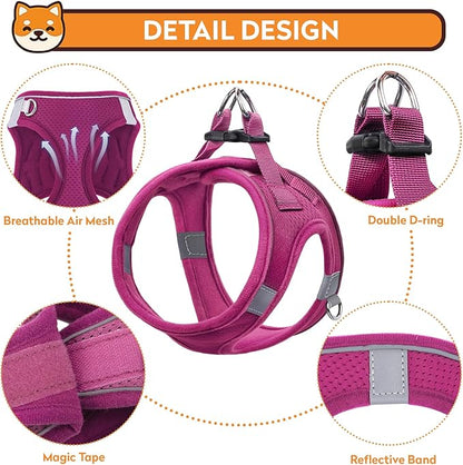 Dog Harness with Leash Set, No-Pull Step-in Reflective Pet Harness with 1 Leash Clips, Adjustable Soft Padded Easy Walk Dog Vest for Small Medium Large Dogs, Cats(Rose Red, Small)