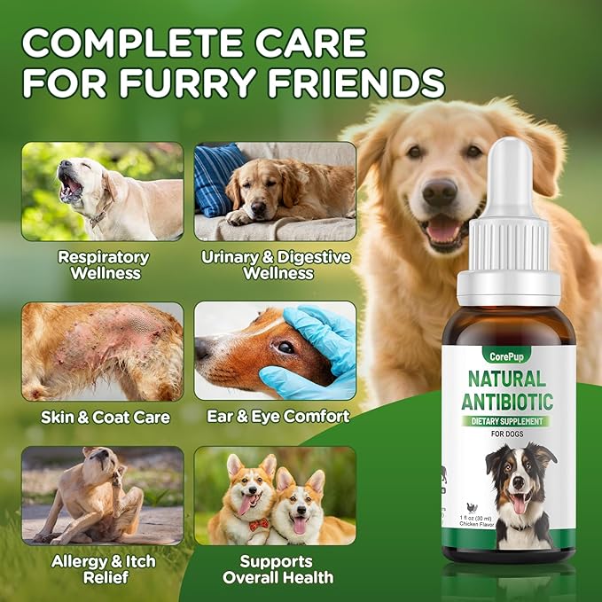 Antibiotics for Dogs,Natural Antibiotics for Dogs,Pet Antibiotic,Supplement for Urinary Tract Support, Digestion & Skin Health,Dog Allergy and Itch,Natural Herbal Supplement