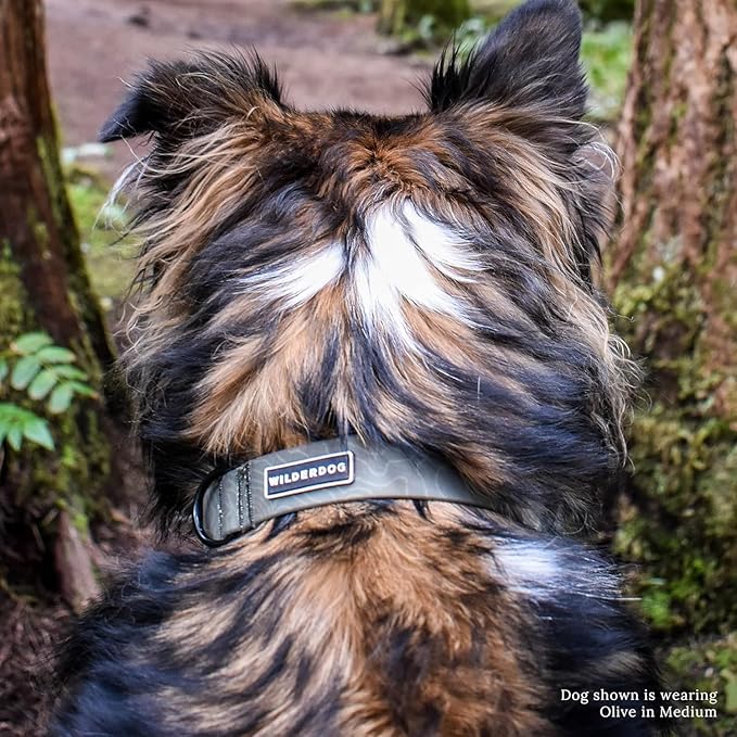 Wilderdog Waterproof Dog Collar- Repels Water & Dirt - Large 17"-24" - Olive