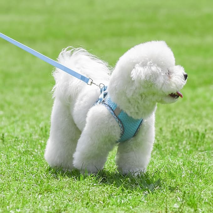Summer Dog Harness and Leash Set, Soft Dog Vest Harness with Super Breathable Diamond Mesh, Reflective No-Pull Pet Harness for Outdoor Walking, Training for Small Dogs, Cats Blue XXS