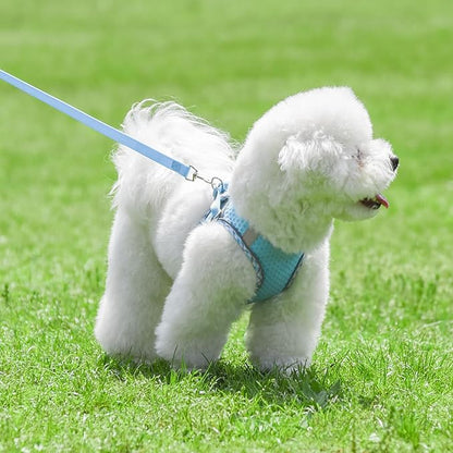 Summer Dog Harness and Leash Set, Soft Dog Vest Harness with Super Breathable Diamond Mesh, Reflective No-Pull Pet Harness for Outdoor Walking, Training for Small Dogs, Cats Blue XXS