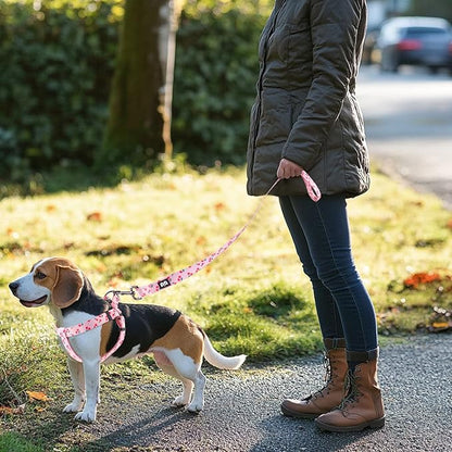 QQPETS Dog Harness Leash Set Adjustable Heavy Duty No Pull Halter Harnesses for Small Medium Large Breed Dogs Back Clip Anti-Twist Perfect for Walking (S(14"-20" Chest Girth), Sakura Pink)