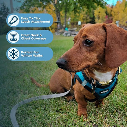 Best Pet Supplies - All Weather Plush, Reflective, No Pull Harness for Small, Medium Dogs, Cats - Secure with Hook & Loop Fastener, Buckle, Double D-Rings - Turquoise Plush, S