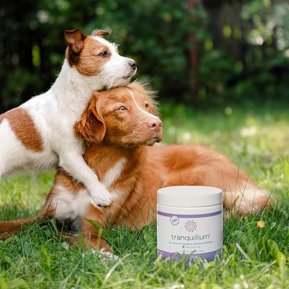 Tranquillium Canine Calming Chews from