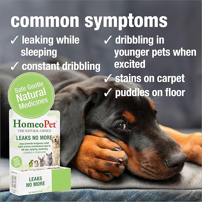 HomeoPet Leaks No More, Safe, Gentle, and Natural Supplement for Cat and Dog Urinary Incontinence Relief, 15 Milliliters
