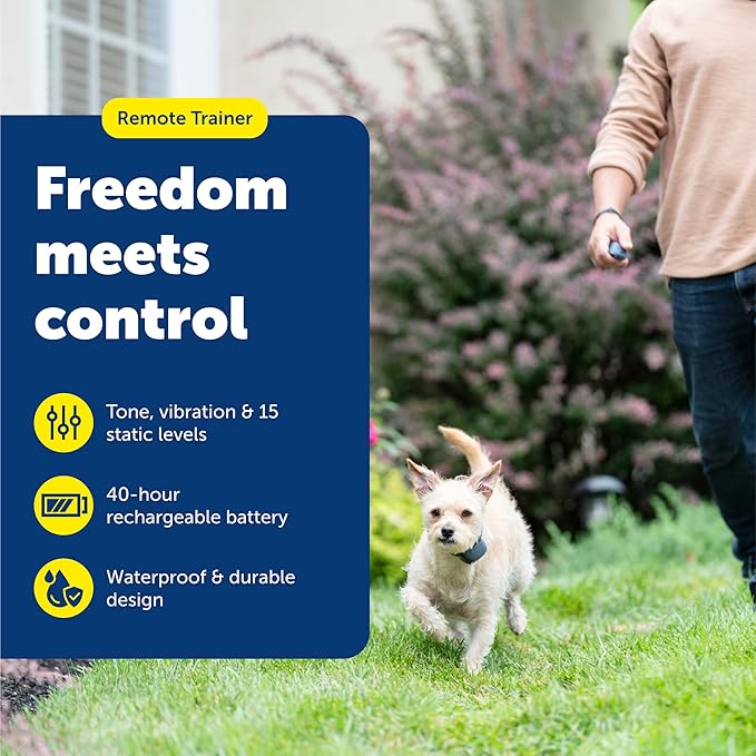 PetSafe 100 Yard Remote Training Collar – Smaller Version for Small or Medium Dogs – Choose from Tone, Vibration, or 15 Levels of Static Stimulation – Short Range Option for Training Off Leash Dogs