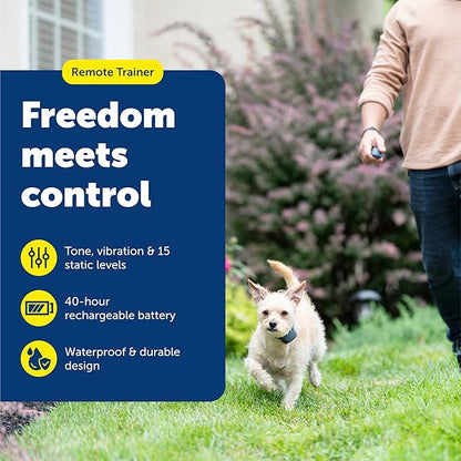 PetSafe 100 Yard Remote Training Collar – Smaller Version for Small or Medium Dogs – Choose from Tone, Vibration, or 15 Levels of Static Stimulation – Short Range Option for Training Off Leash Dogs
