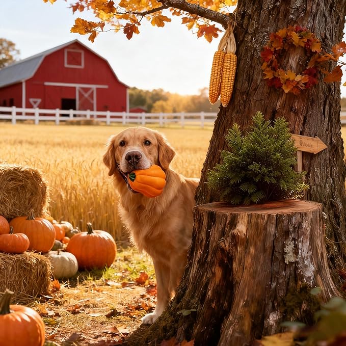 Large Dog Chew Toy with Squeaker, Tough TPR Pumpkin Toy for Strong Chewers (40 lbs+), Textured Dental Ridges, Interactive Indoor & Outdoor Fetch Toy