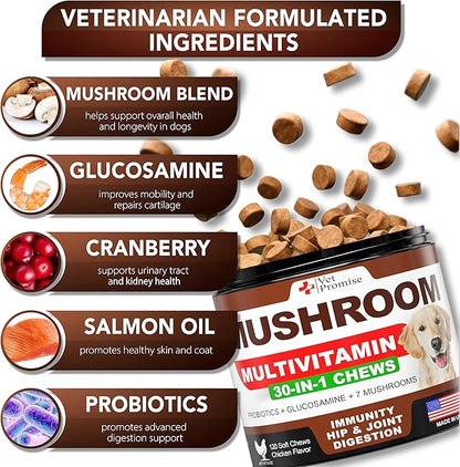 Turkey Tail Mushroom for Dogs - 170 Chews - Mushroom Supplement for Dogs - Lions Mane - Reishi - Immunity Support Multivitamin Vitamins - Joint Health - Energy - Gut - Skin - Made in USA