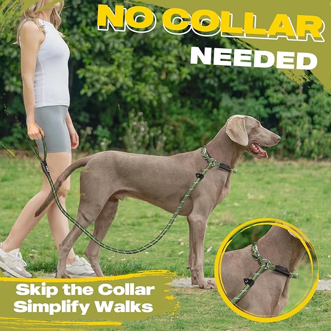 Fida Durable Slip Lead Dog Leash, 6 FT x 3/8" Heavy Duty Dog Loop Leash, Comfortable Strong Rope Slip Leash for Small Dogs and Puppies, No Pull Pet Training Leash with Highly Reflective(3/8", Green)