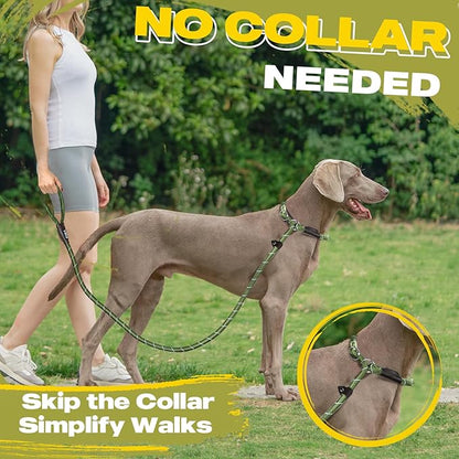 Fida Durable Slip Lead Dog Leash, 6 FT x 3/8" Heavy Duty Dog Loop Leash, Comfortable Strong Rope Slip Leash for Small Dogs and Puppies, No Pull Pet Training Leash with Highly Reflective(3/8", Green)