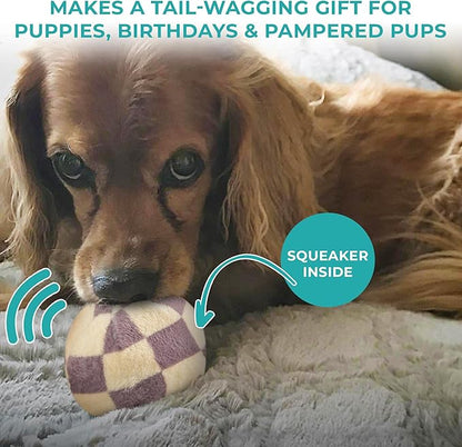 Haute Diggity Dog Chewy Vuiton Trunk Puzzle with 3 Plush Squeaky Dog Toys, Soft Durable Designer-Inspired Stuffed Puppy Chew Toys for Small & Medium Dogs, Machine-Washable (Tan Checker) One Size