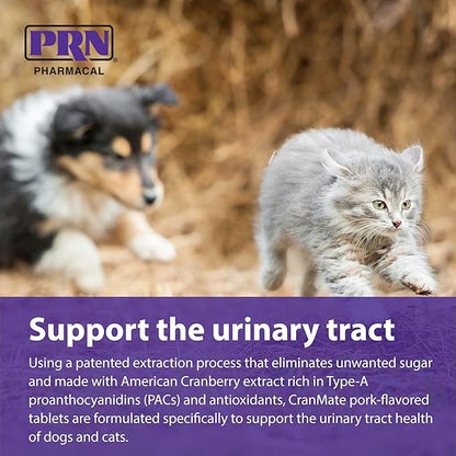 PRN Pharmacal CranMate Cranberry Supplement - Chewable Cranberry Extract - Nutritional Supplements for Dogs & Cats - Urinary Tract Health - Vet Formulated for Pet Urinary Care - 60 Count