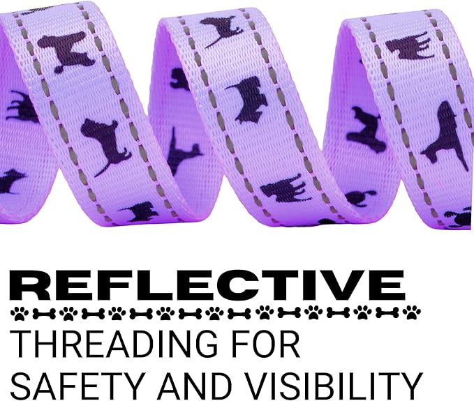 EcoBark Dog Leash - Soft & Reflective Comfort Leashes with Padded Handle - Soft, Strong, & Durable for Small, Medium or Large Dogs (Lavender)