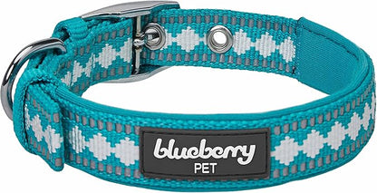 Blueberry Pet Reflective Jacquard Dog Collar with Neoprene Padding & Metal Buckle | Soft & Adjustable Safety Collar - Peacock, Neck 13-16.5", for Medium Breed