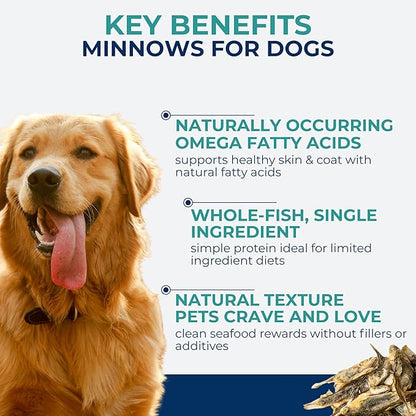 Momentum Carnivore Nutrition Freeze-Dried Minnows Dog Treats & Cat Treats – Single-Ingredient, High-Protein, Grain-Free, Natural Whole-Fish Treat – Made in USA – 2 oz Bag