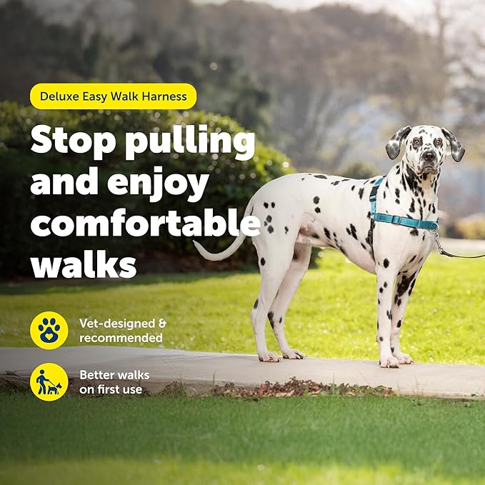 PetSafe Deluxe Easy Walk Harness - Trainer-Trusted Dog Chest Harness with Breathable Martingale Loop Design - Helps Stop Pulling with No Choking & Gagging - Large - Ocean