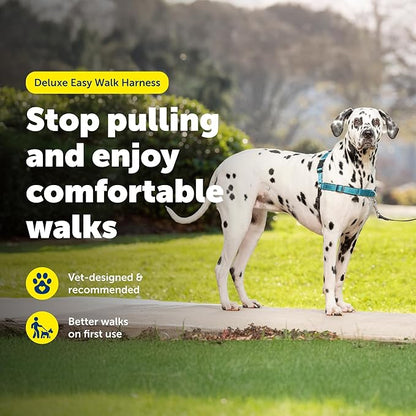 PetSafe Deluxe Easy Walk Harness - Trainer-Trusted Dog Chest Harness with Breathable Martingale Loop Design - Helps Stop Pulling with No Choking & Gagging - Large - Ocean