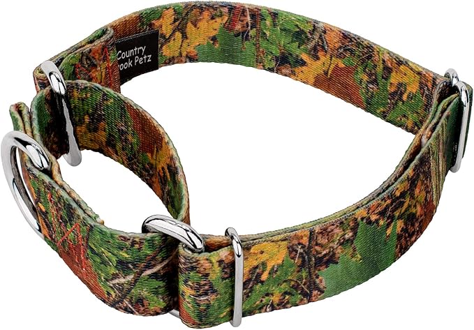 Country Brook Petz - Southern Forest Camo Martingale Dog Collar and Leash - Camouflage Collection Featuring Rugged Designs (1 Inch, Medium)