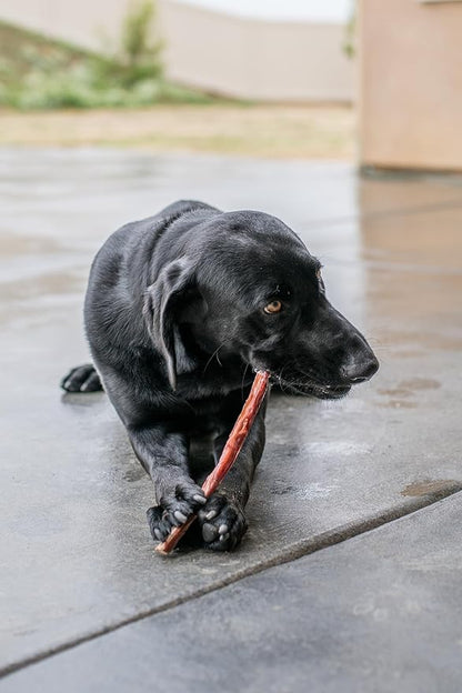 GigaBite Beef Esophagus Dog Treats - Natural Gullet Sticks for Dogs, High Protein Single Ingredient Dog Chews, Rawhide Free Dental Dog Treats for All Dog Breeds - Sticks (6 Inch), Pack of 35