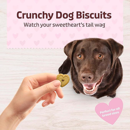 Blue Buffalo Be Mine Bars Heart-Shaped Healthy & Crunchy Dog Biscuits, Natural Valentine’s Dog Treats, Baked with Oatmeal & Cinnamon, 11-oz Bag (Pack of 4)