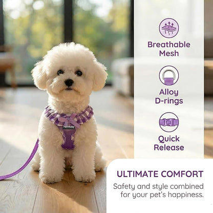 SuperBuddy Upgraded Soft Mesh Dog Harness, Super Breathable Lightweight Pet Harnesses for Puppy Dogs Outdoor Walking, Purple Dog Harness and Dog Leash Set Packing -Small