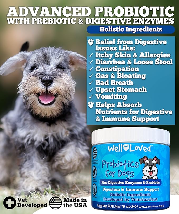 Well Loved Probiotics for Dogs, Dog Probiotics, Made in USA, Vet Developed for Gut Health, Yeast Balance, Itchy Skin, Diarrhea & Gas Relief, Chews with Prebiotic & Digestive Enzymes, Digestive Support