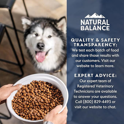 Natural Balance Health Protection Small Breed Dry Dog Food – Whole Body Health, Easy on Digestion Dog Food Made with Chicken, Brown Rice & Pumpkin for Dogs - 4lbs.