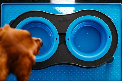 Dexas Pets Double Elevated Pet Feeder, 2.5 Cup Bowls, Pro Blue (PW1104322194)