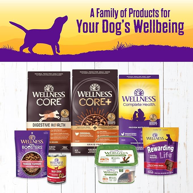 Wellness Complete Health Stew Adult Canned Wet Dog Food, Grain Free, Natural, Lamb and Beef Recipe, 12.5 oz, Pack of 12 Cans