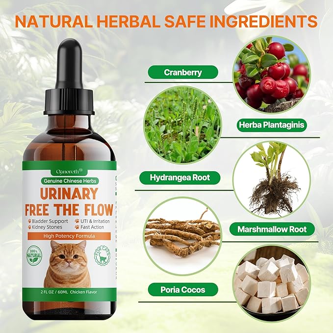 Cat Bladder Remedy for Stones & Crystals, Kidney StonesDissolver forCat- Urinary Free The Flow - Cat Urinary Tract Infection Treatment for Stones, Herbal CatUTI Remedy for Stone Relief & Prevention