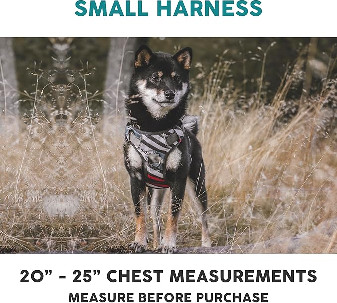 Embark Adventure Small Dog Harness – No-Pull, Reflective Trim, Military-Grade Nylon, Front Clip with Gel-Lined Handle