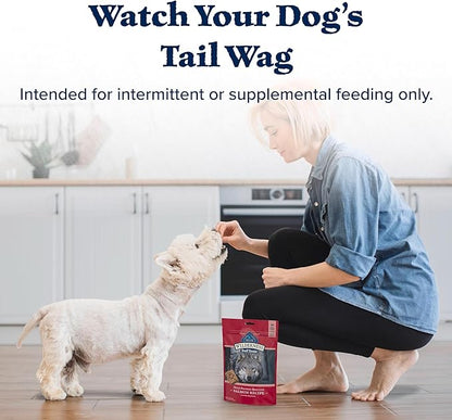 Blue Buffalo Wilderness Trail Treats High Protein Grain Free Dog Biscuits Crunchy Dog Treats, Salmon Recipe, 10-oz Bag