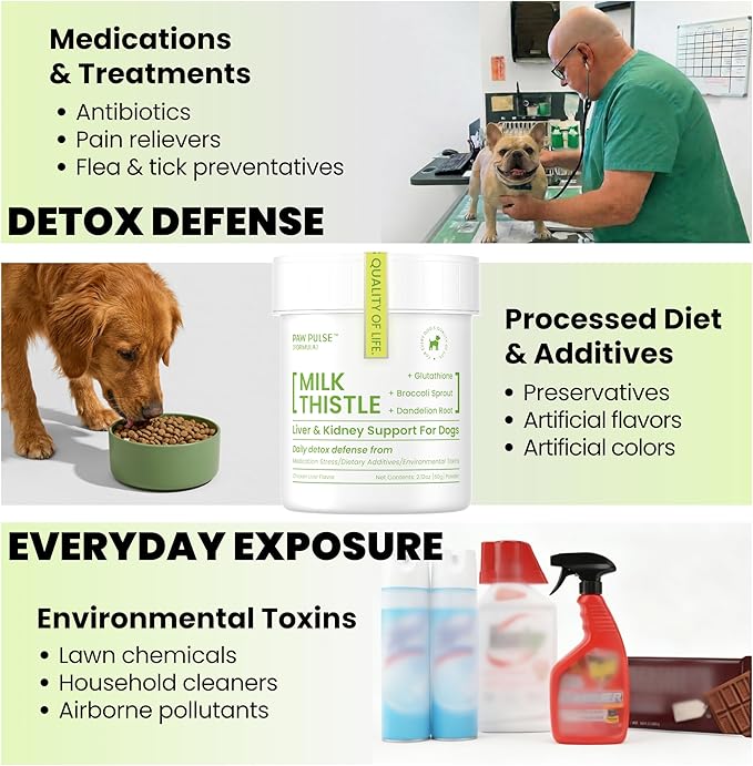 Pawpulse Formula Milk Thistle for Dogs – Liver & Kidney Support Powder with Silymarin & Glutathione – Daily Detox, Antioxidant & Metabolic Natural Support, 2.12 oz