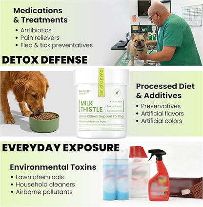 Pawpulse Formula Milk Thistle for Dogs – Liver & Kidney Support Powder with Silymarin & Glutathione – Daily Detox, Antioxidant & Metabolic Natural Support, 2.12 oz