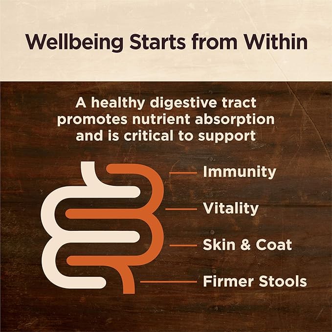 Wellness CORE Digestive Health Large Breed Adult Dry Dog Food, Wholesome Grain Kibble, Sensitive Stomach, Natural, High Protein, Chicken and Brown Rice Recipe, 24 lb Bag
