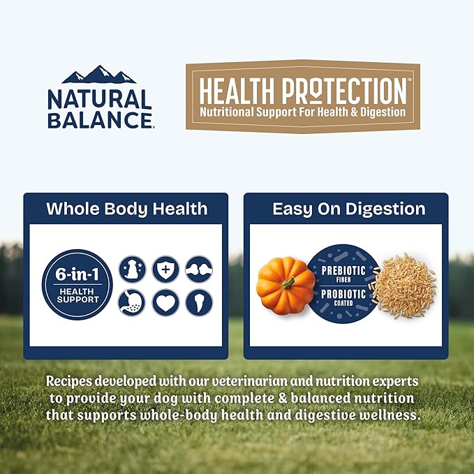 Natural Balance Health Protection Puppy Dry Dog Food – Whole Body Health, Easy on Digestion Dog Food Made with Chicken, Brown Rice & Pumpkin for Puppies - 4lbs.