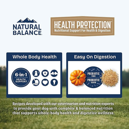 Natural Balance Health Protection Puppy Dry Dog Food – Whole Body Health, Easy on Digestion Dog Food Made with Chicken, Brown Rice & Pumpkin for Puppies - 4lbs.