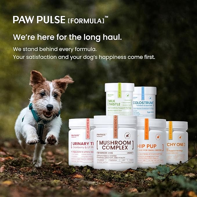 Pawpulse Formula Milk Thistle for Dogs – Liver & Kidney Support Powder with Silymarin & Glutathione – Daily Detox, Antioxidant & Metabolic Natural Support, 2.12 oz