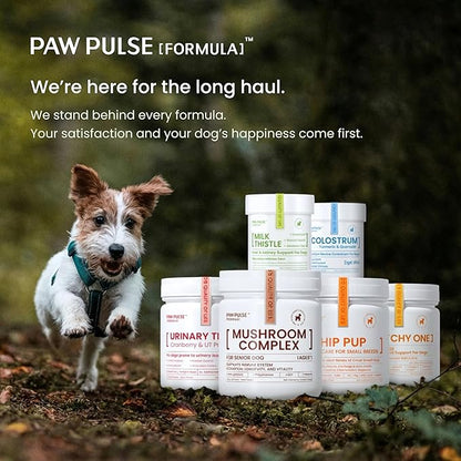 Pawpulse Formula Milk Thistle for Dogs – Liver & Kidney Support Powder with Silymarin & Glutathione – Daily Detox, Antioxidant & Metabolic Natural Support, 2.12 oz