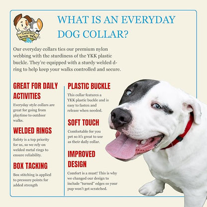 Country Brook Petz - Everyday Nylon Dog Collar for Large, Medium, and Small Dogs and Puppies - for Everyday Use in 10+ Warm Colors (Extra Small, 3/8 Inch Wide, Red)