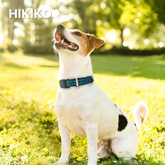 Hikiko Martingale Dog Collars Reflective Nylon Dog Collar with Quick Release Buckle Adjustable Training No Slip Dog Collar (Medium, Dark Green)