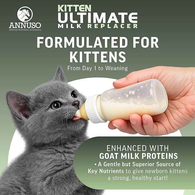 ANNUSO Kitten Ultimate Milk Replacer, 12oz - 40% Protein & 28% Fat - Enhanced with Goat Milk Proteins, Advanced Probiotics – Supports Kitty Immunity & Digestion, Easy-Mix Powder