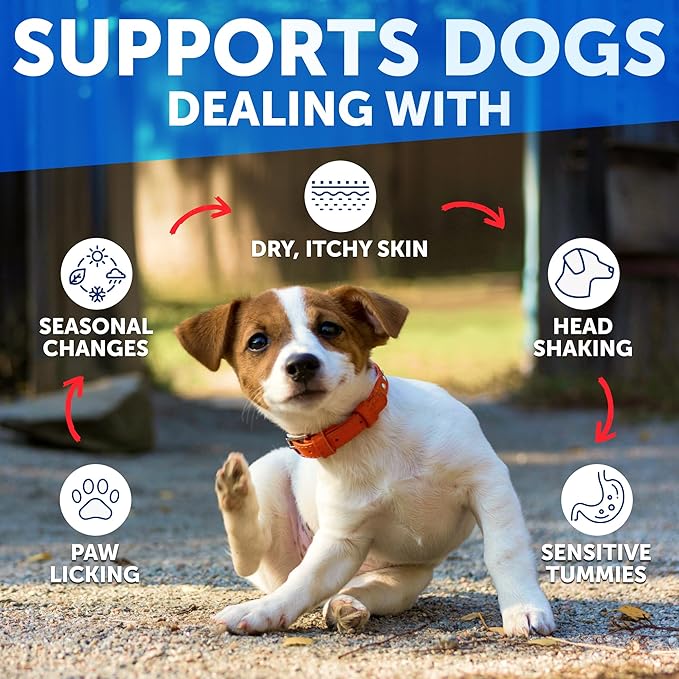 Dog Allergy Chews - Itchy Skin Relief for Dogs - 120 Chewable Soft Treats with Colostrum and Probiotics- Seasonal Allergies - Skin and Coat, Anti Itch, Hot Spots - Dog Allergy Relief Supplement