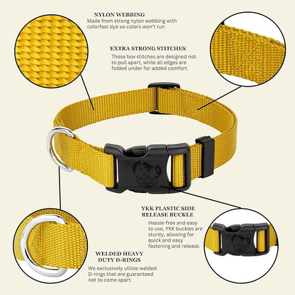 Country Brook Petz - Everyday Nylon Dog Collar for Large, Medium, and Small Dogs and Puppies - for Everyday Use in 10+ Warm Colors (Extra Large, 1 Inch Wide, Gold)