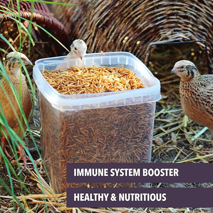 Worm Nerd WN61 Dried Mealworms Non-GMO High Protein and Fiber Treat for Chickens, Birds, Reptiles, Amphibians, Fish 10 lbs