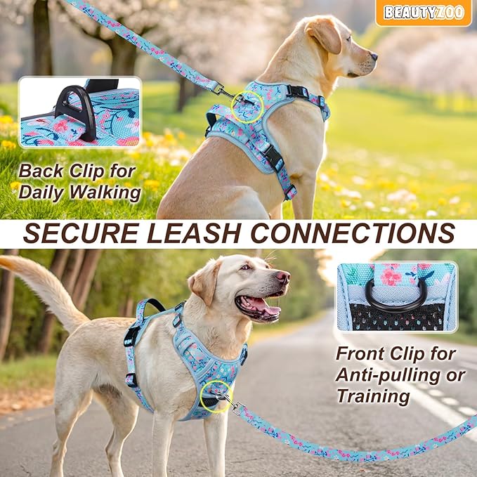 BEAUTYZOO No Pull Dog Harness Small, Adjustable Dog Harness and Leash Set -Easy Wearing with 3 Buckles/Control Handle,No Choke Soft Padded Reflective Pet Vest for Training Walking Hiking,Blue S