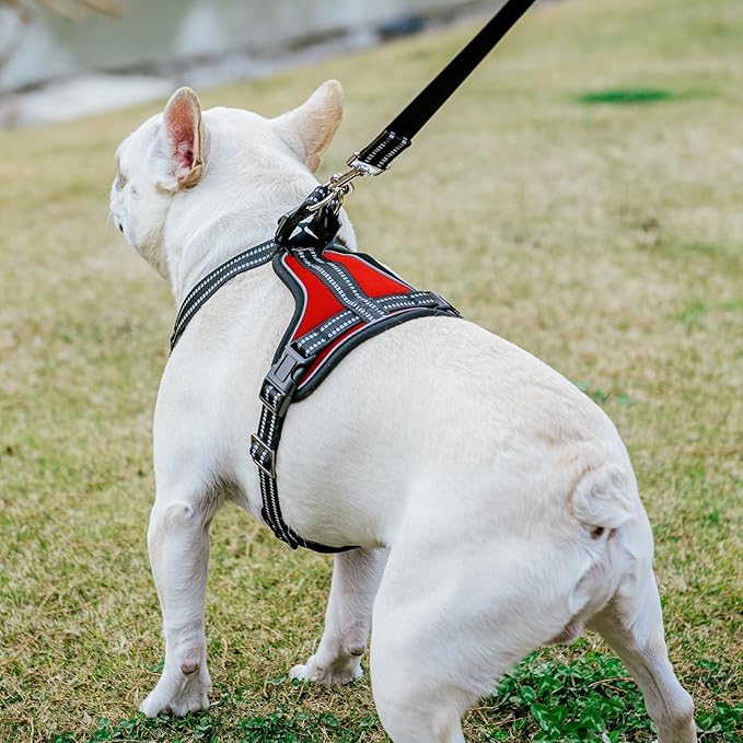 PUPTECK Dog Harness and Leash Set Medium Sized, Adjustable Reflective Escape Proof Puppy Vest, No Pull Walking Harness Easy Control
