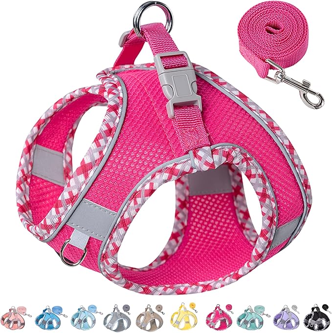 Petank Dog Harness for Small Medium Dogs No Pull, Puppy Harness and Leash Set for Walking, Running, Training, Small Dog Harness, Medium Dog Harness (Rose Red, XXS)